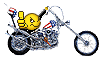 Bike9